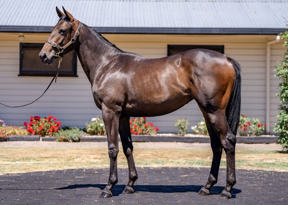 NORTH PACIFIC X WE’VE GOT TONIGHT FILLY
